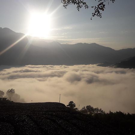 Alishan Shanyunhua B&B Homestay Meishan Buitenkant foto