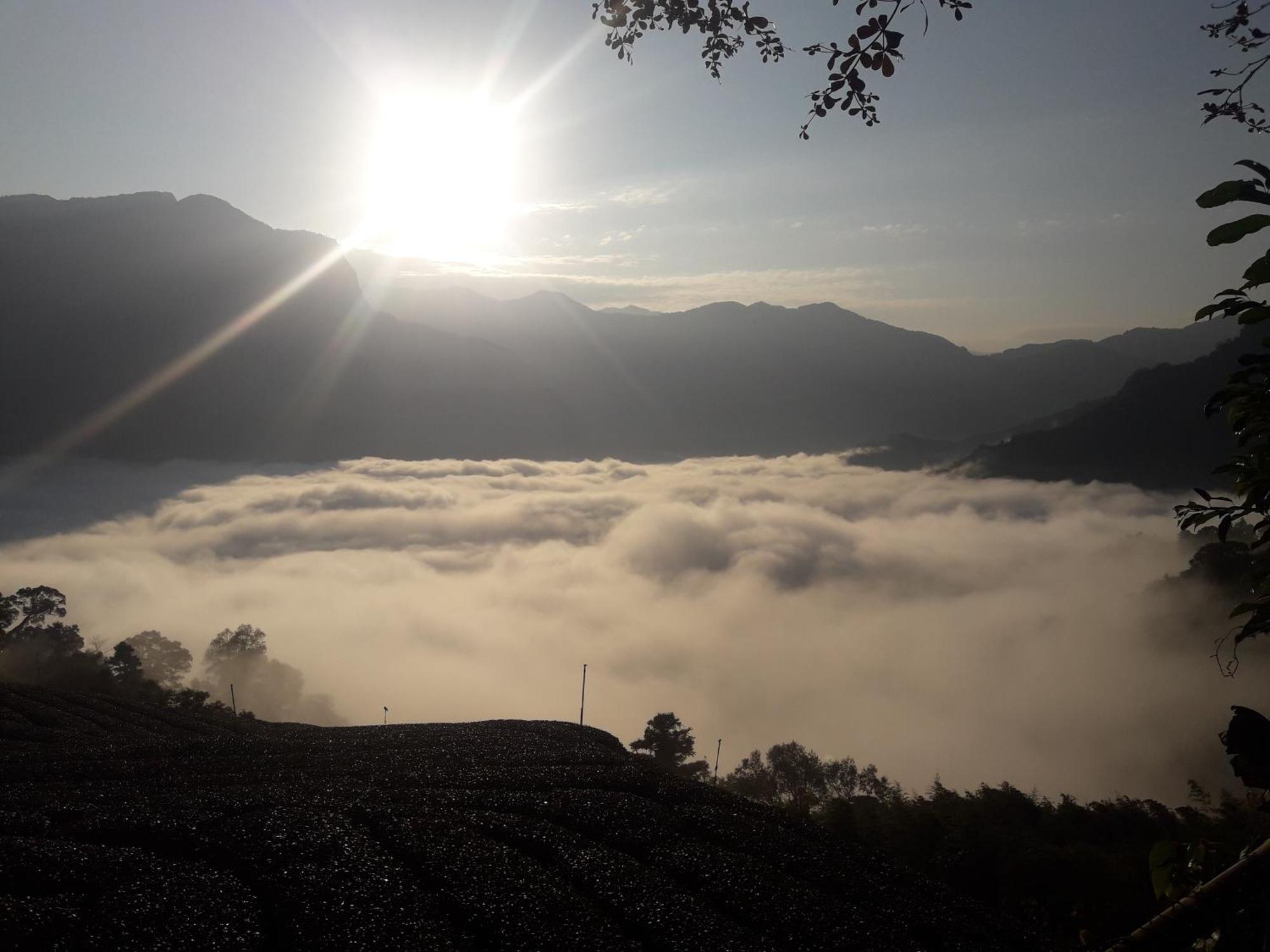 Alishan Shanyunhua B&B Homestay Meishan Buitenkant foto