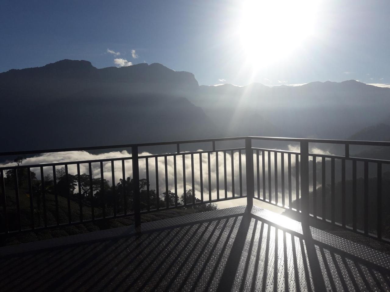 Alishan Shanyunhua B&B Homestay Meishan Buitenkant foto